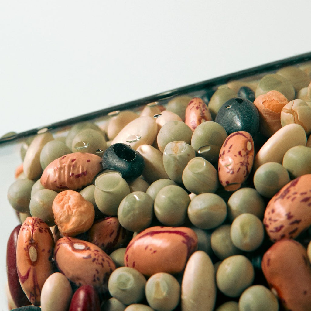 AMUSE Vegan Soybean Hand Cream 50ml - Liberty AMUSE