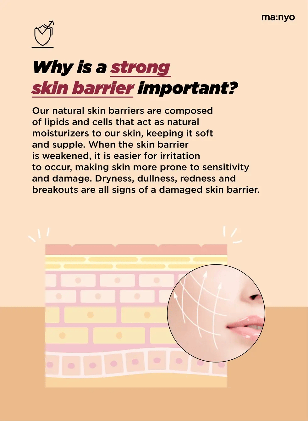 ma:nyo Bifida Biome Complex Ampoule 50ml ma:nyo