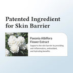 Dr.Althea 147 Barrier Cream 50ml VGLE Studios