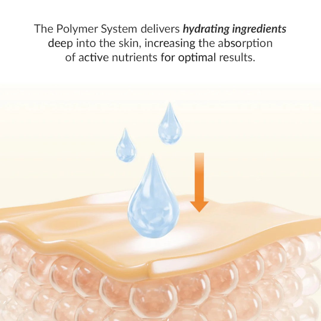 Illustration of the Polymer System delivering hydrating ingredients deep into the skin for optimal nutrient absorption.