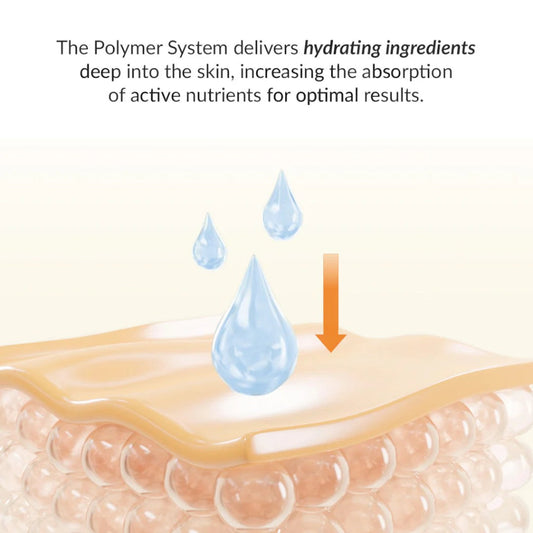 Illustration of the Polymer System delivering hydrating ingredients deep into the skin for optimal nutrient absorption.