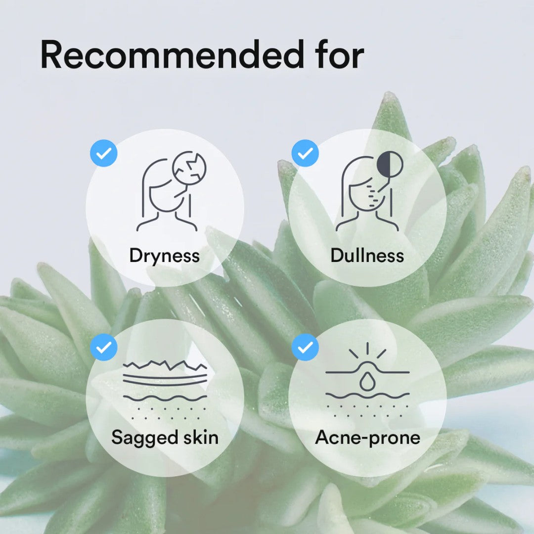 Recommended for dryness, dullness, sagged skin, and acne-prone with Abib Collagen Gel Mask Sedum Jelly 4 Sheets - Hydrating.