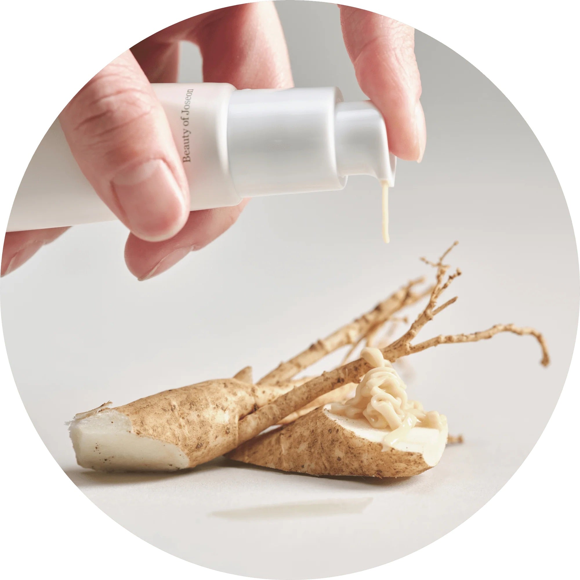 Beauty Of Joseon - Slow Aging Trio VGLE Studios