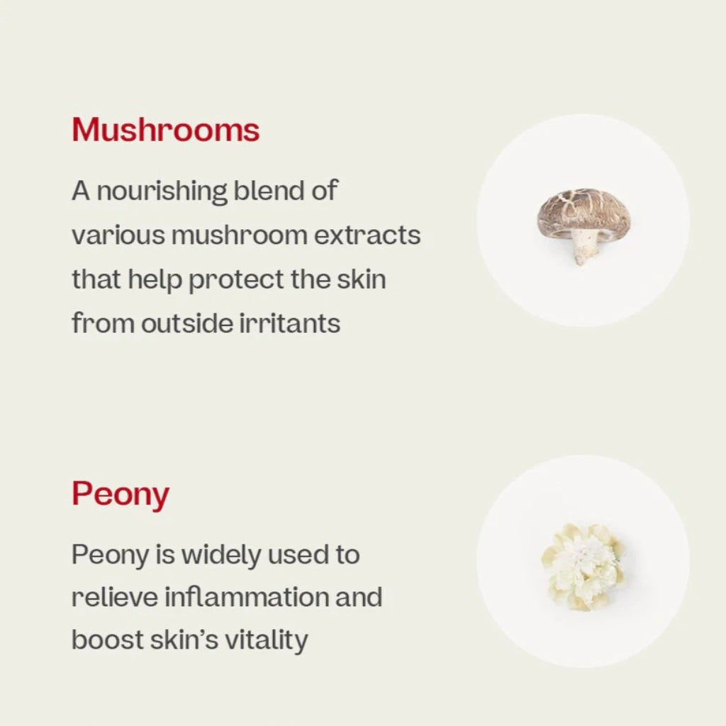 ma:nyo Bifida Ampoule Mist 120ml ma:nyo