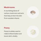 ma:nyo Bifida Ampoule Mist 120ml ma:nyo