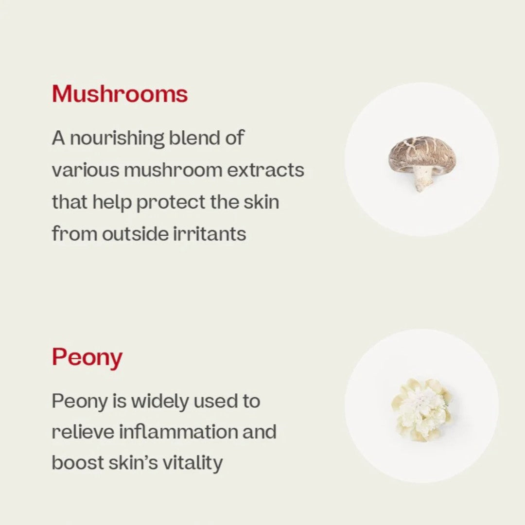 ma:nyo Bifida Ampoule Mist 120ml ma:nyo