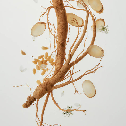 Beauty of Joseon Ginseng Cleansing Oil 210ml