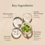 Rice toner | vgle