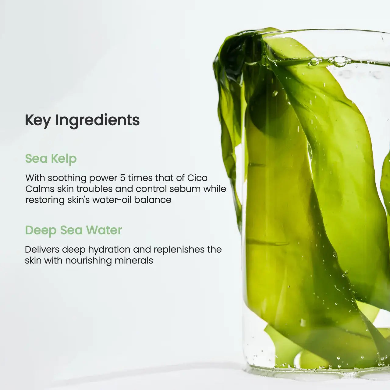 Biodance Refreshing Sea Kelp Real Deep Mask Biodance