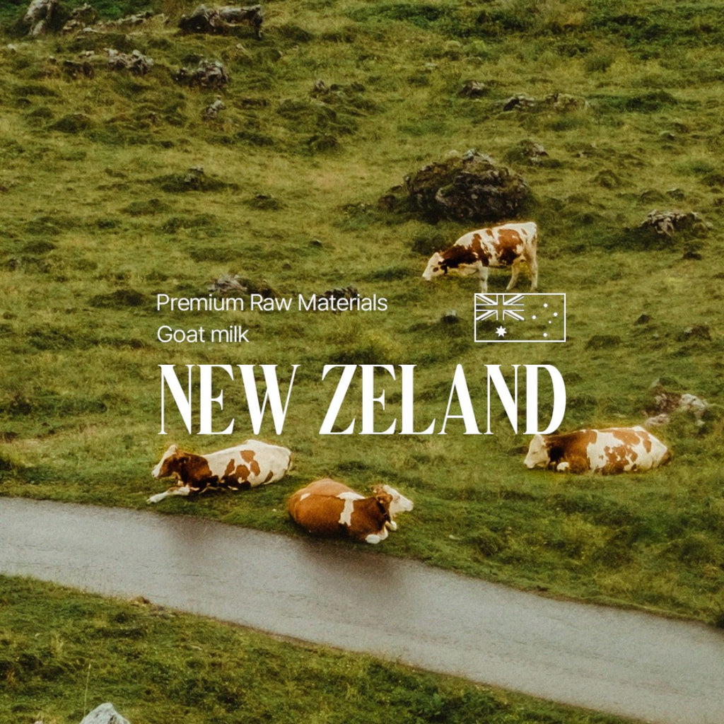 hetras Perfume Essence Hand Lotion 515ml - Flower Shop hetras