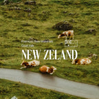 hetras Perfume Essence Hand Lotion 515ml - Flower Shop hetras