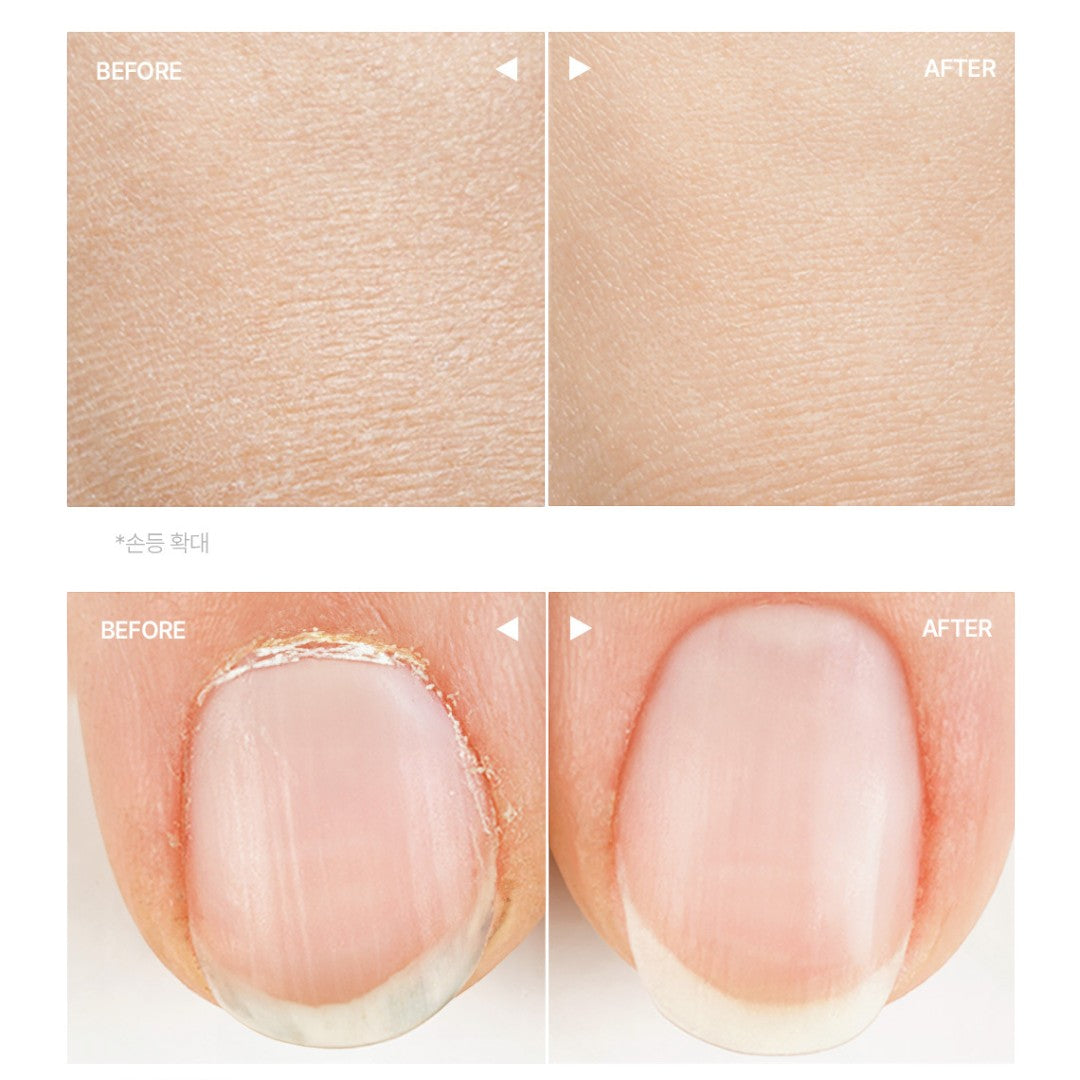 hetras Perfume Essence Hand Lotion 515ml - Flower Shop hetras