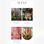 hetras Perfume Essence Hand Lotion 515ml - Flower Shop hetras