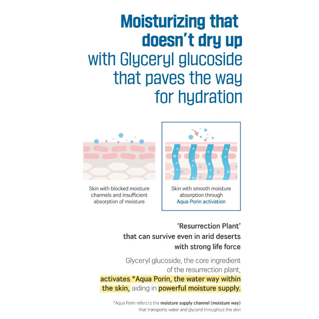 Round Lab Birch Juice Hand Cream 30ml Round Lab