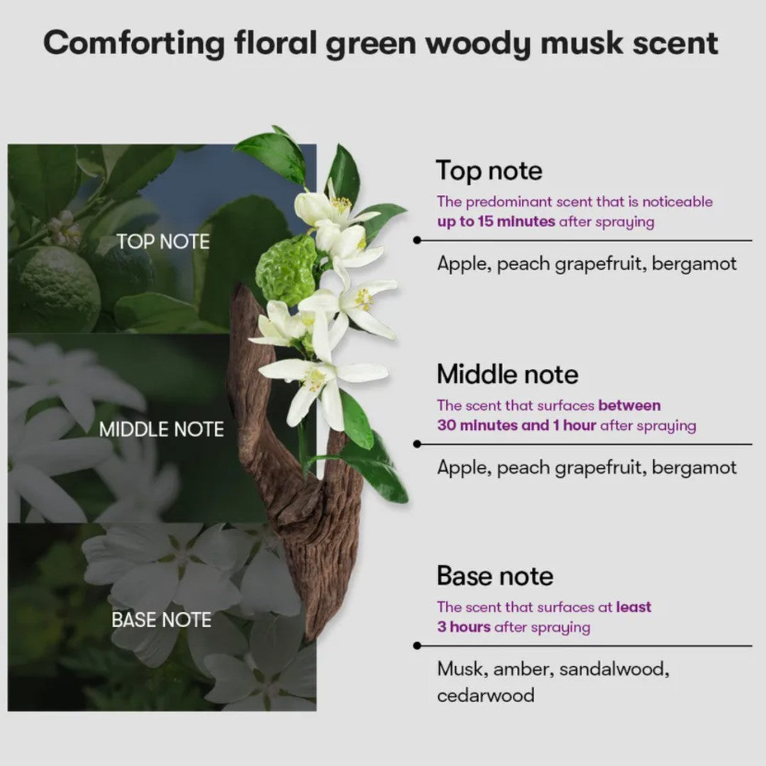 Floral and greenery with text on scent notes on a white background