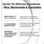 Anua Rice Ceramide 7 Hydrating Barrier Serum 50ml Anua