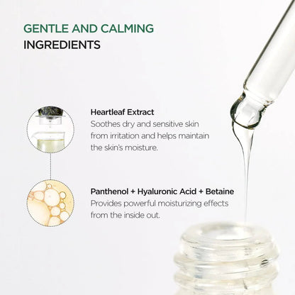 Anua HEARTLEAF 80% MOISTURE SOOTHING AMPOULE 30ml – Skin Care | Korean Skincare Canada - VGLE