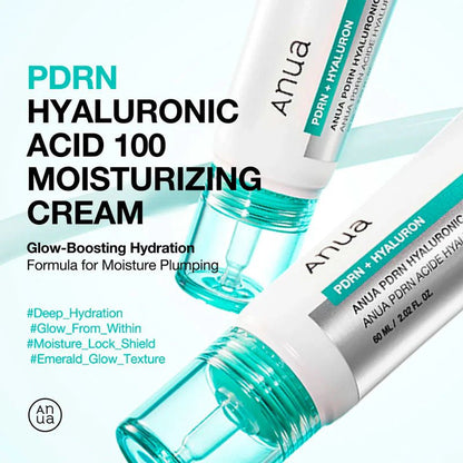 Anua PDRN Hyaluronic Acid 100 Moisturizing Cream 60ml – Skin Care | Korean Skincare Canada - VGLE